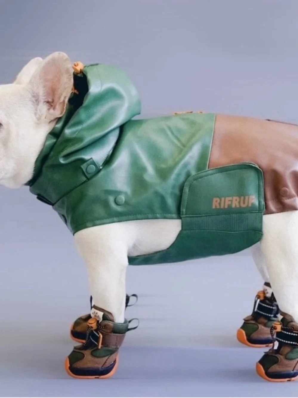 Climapaw Way Rifruf Storm Hunter Coat Green Size 10 Pomeranian or Maltese